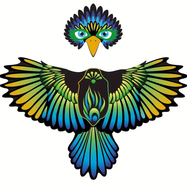   Eagle Costume for Kids