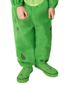 Frog Costumes for Kids