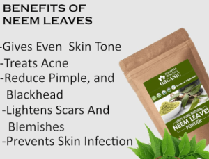 Organic Neem Leaf Powder For Skin 100g Delhi Gate Organics