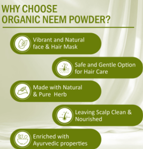 Organic Neem Leaf Powder For Skin 100g Delhi Gate Organics