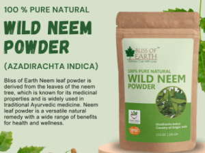 Organic Neem Leaf Powder For Skin 100g Delhi Gate Organics