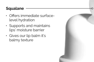 Squalane + Amino Acids Hydrating Lip Balm for Lips